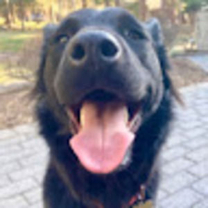 Meet your Posher, Louisa